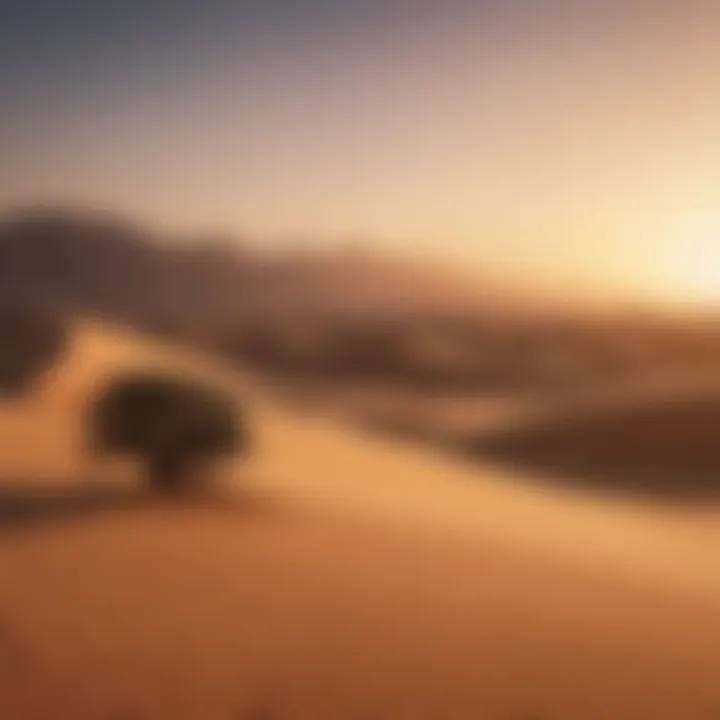 The serene beauty of the Liwa Desert at sunset