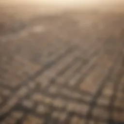 Aerial view of Dubai's free zone landscape showcasing various business facilities